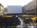 locarno festival
