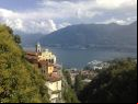 locarno festival