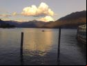 locarno festival