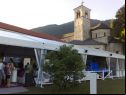 locarno festival