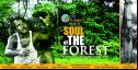 SOUL OF THE FOREST