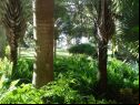 DSC02960