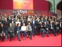 GOYA NOMINEES