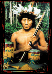 Satere Mawe Indian, Amazon, Brazil, Warana