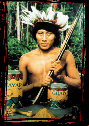 Satere Mawe Indian, Amazon, Brazil, Warana
