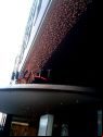 Hyatt