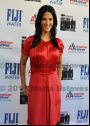 12th New York Intl Latino Film Festival Closing Night World Premiere of OUR LATIN THING Red Carpet Photos