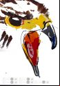 ibiza Iff Falcon