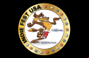Indie Fest USA Logo