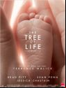 Tree of Life